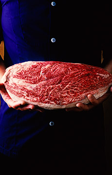 肉素材