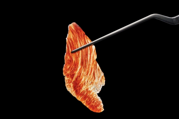 スケジャーキー